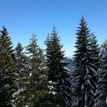 TES Rila Park Apartments Borovets Bagian luar foto