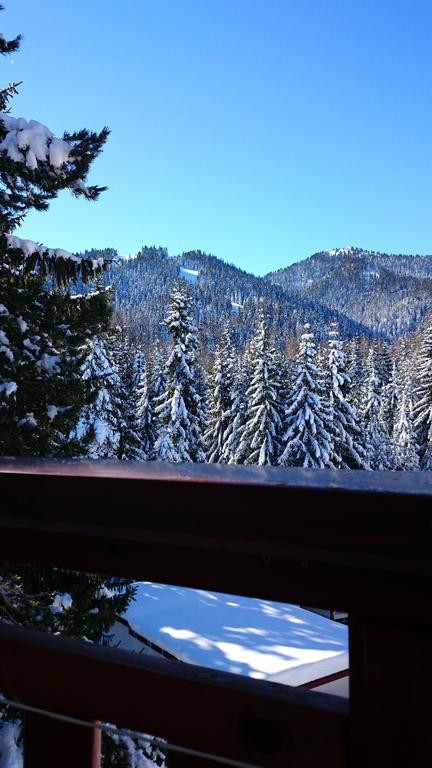 TES Rila Park Apartments Borovets Ruang foto